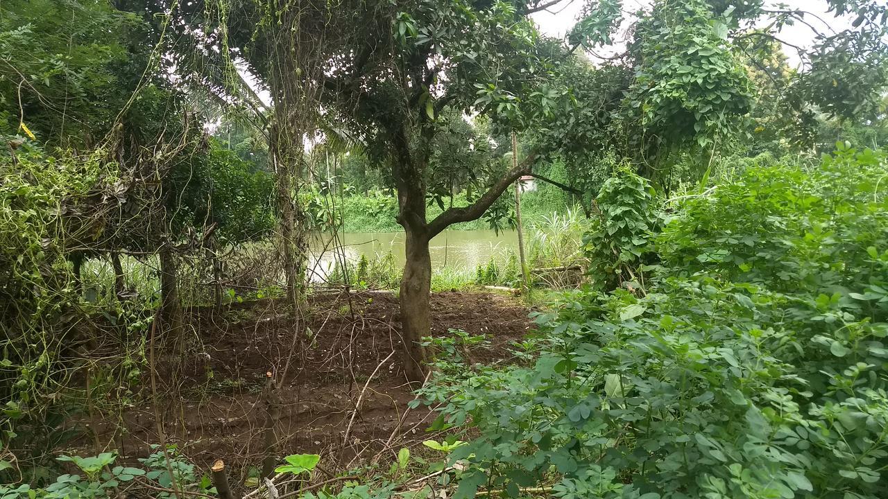 Neelambari Resorts Urakam Extérieur photo