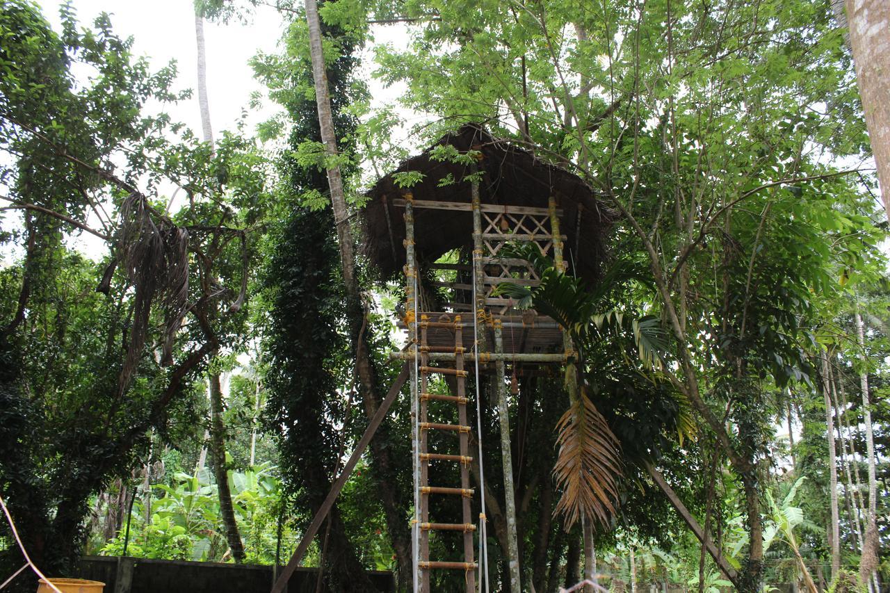 Neelambari Resorts Urakam Extérieur photo